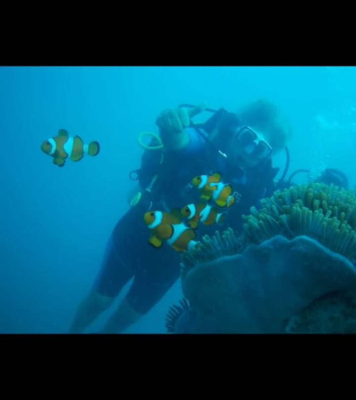 Ocean Tribe Scuba Diving-哈夫洛克岛必去景点