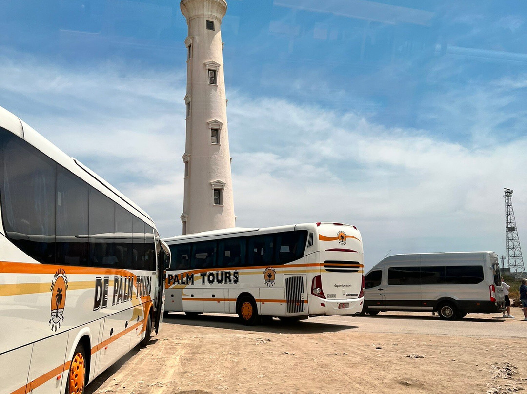 HF Tours & Transfers Aruba景点图片