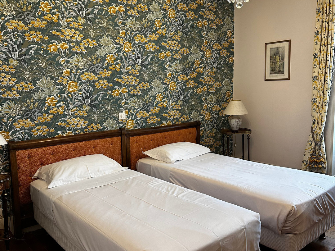 Hôtel La Villa Fleurie主图