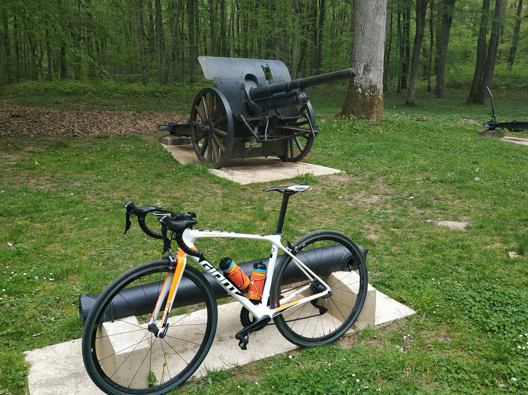 Belleau Wood - Marine Monument景点图片