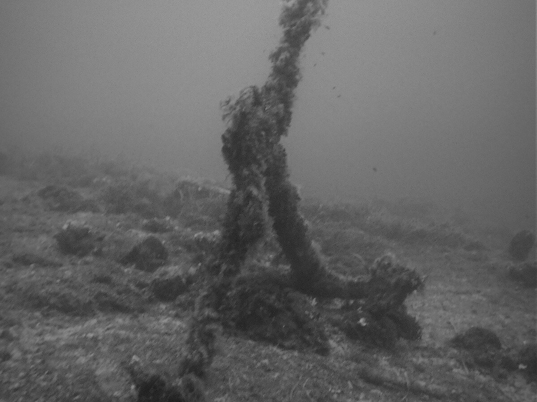 Diving In Elba Portoferraio景点图片