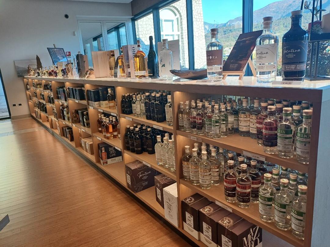 Distilleria Marzadro-Nogaredo必去景点
