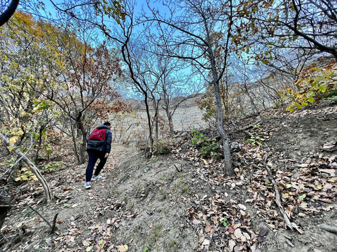 @greatwallmylove-北京市必去景点