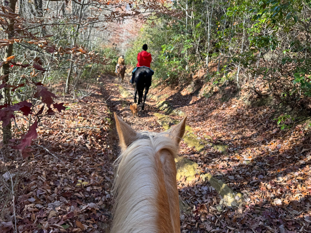 End of the Trail Horseback Riding景点图片