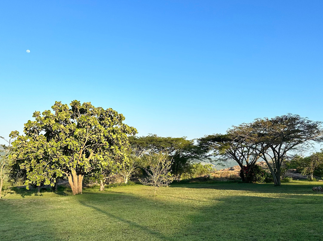 白房子宾馆酒店主图