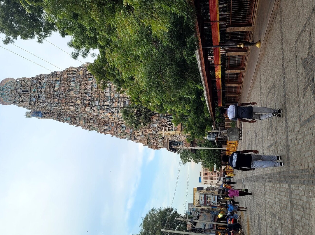 Mandhir Darshan-Guided Temple Tours景点图片