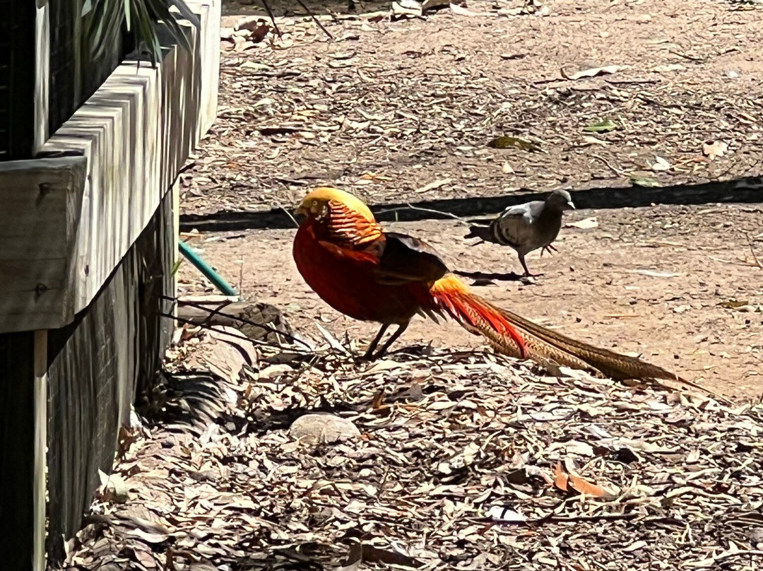 Sydney Adventure Tours-悉尼必去景点