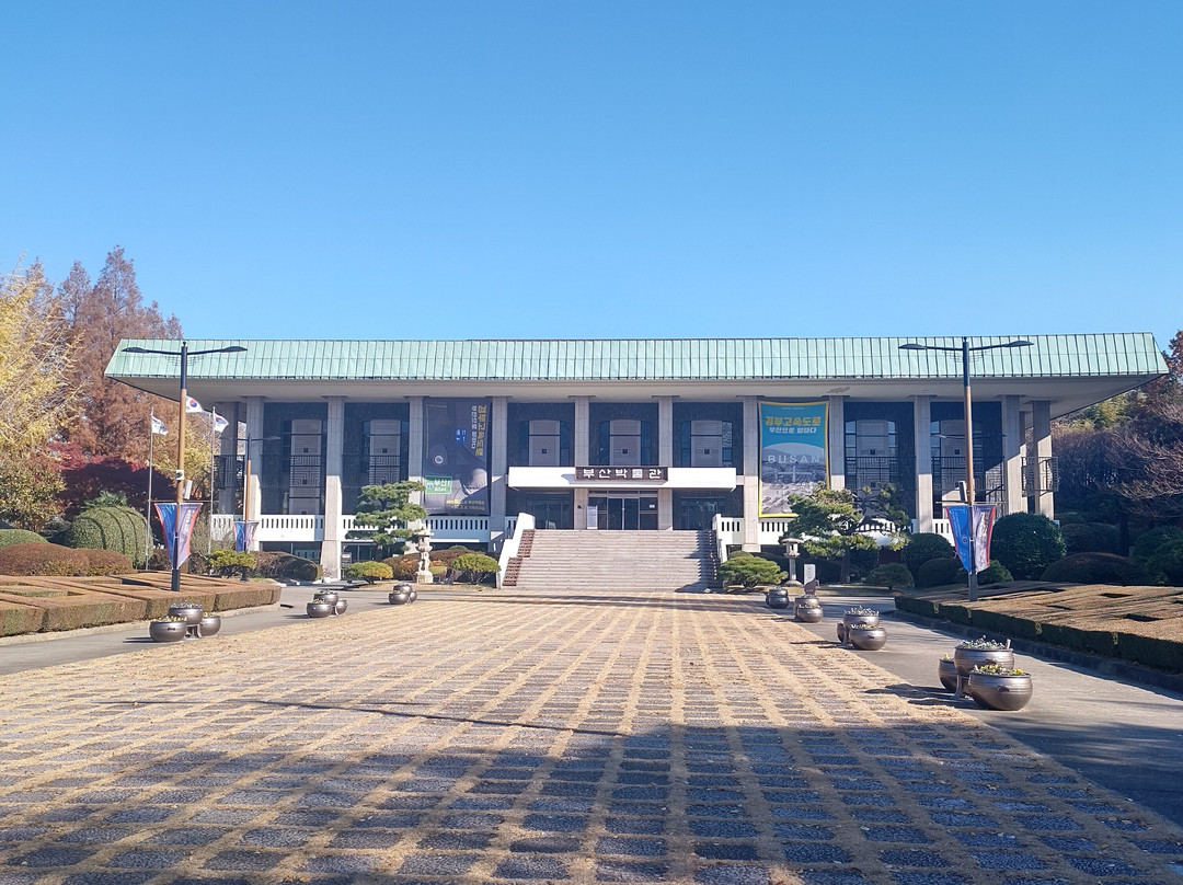 釜山博物馆景点图片