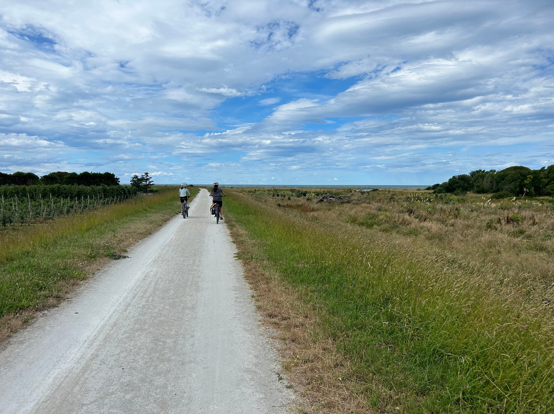 Good Fun Bike Rides景点图片