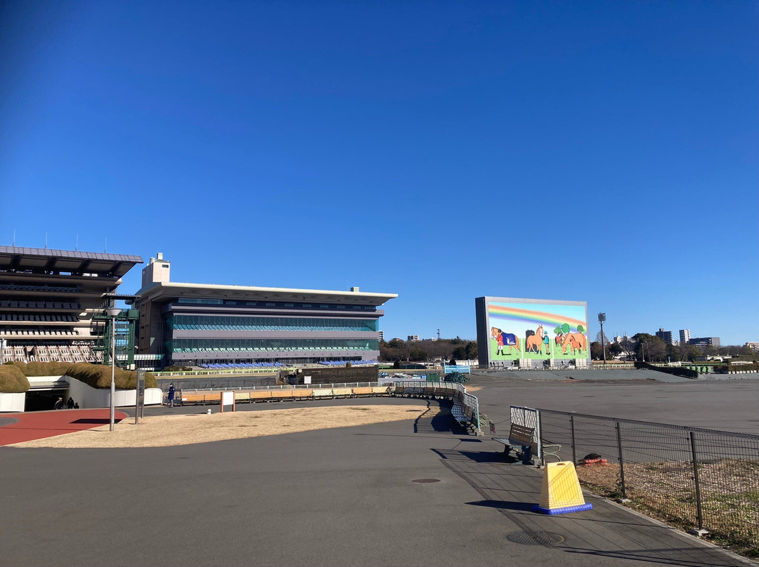 Tokyo Racecourse-府中市必去景点