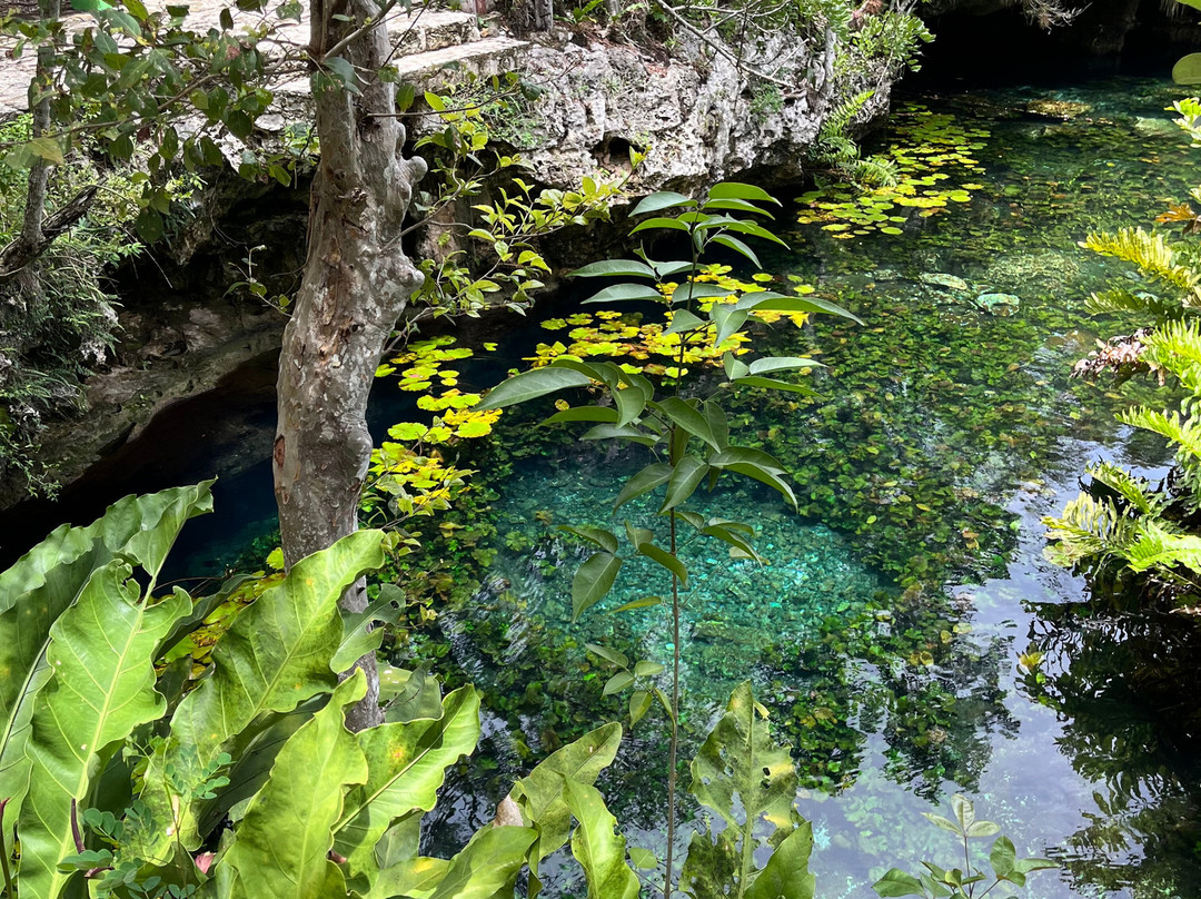 Cenote Nicte-ha-图伦必去景点