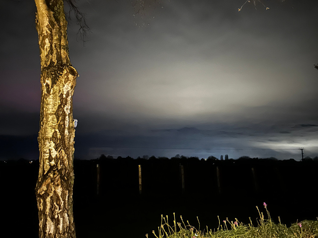 Tinwood Estate Lodges主图