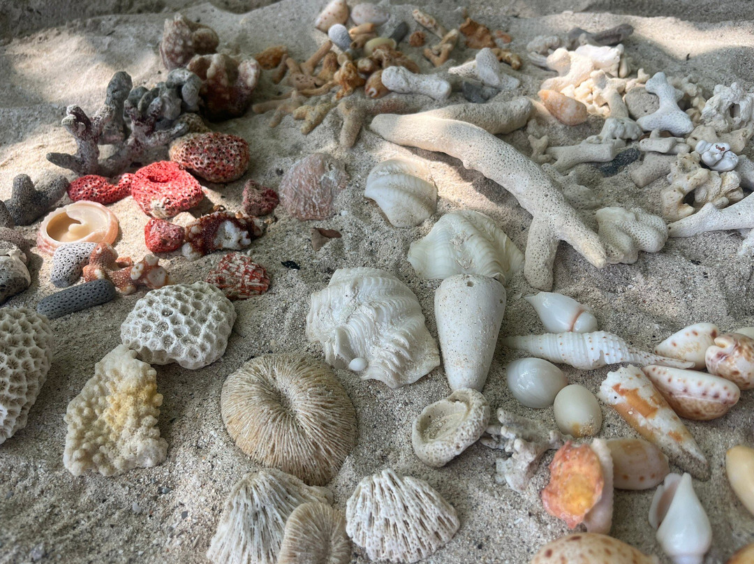 Summer Vibes Beach Front主图