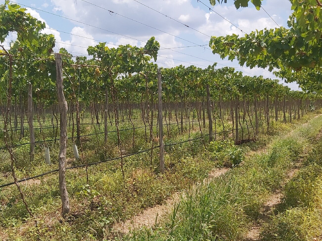 Rio Sol-Lagoa Grande必去景点