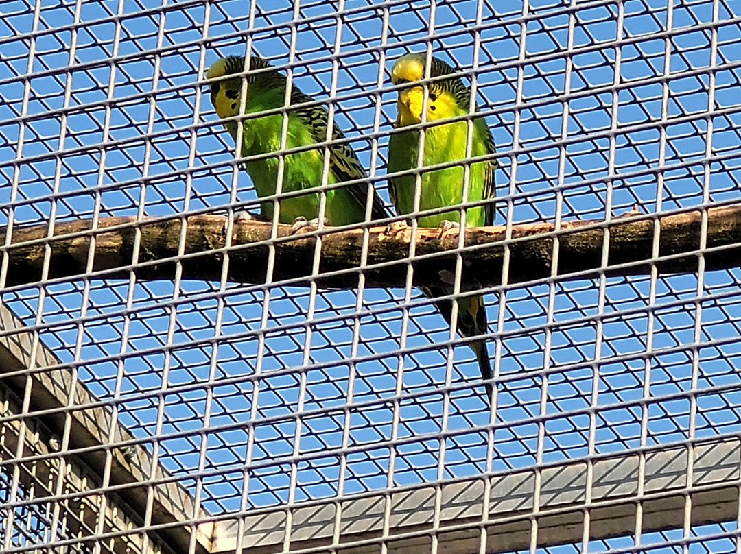 Tierpark Bad Zurzach-Bad Zurzach必去景点