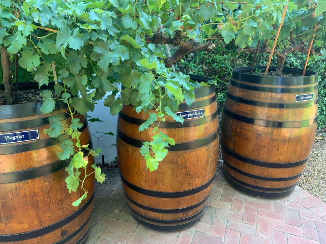 Lourensford Wine Estate-西索美塞必去景点