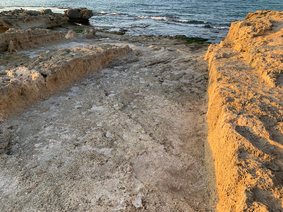 Tel Dor National Park-Nahsholim必去景点