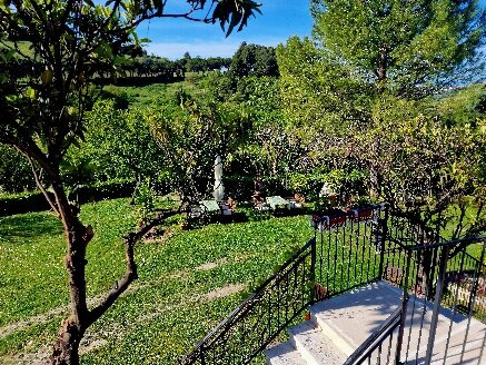 B&B La Campagna del Conero主图