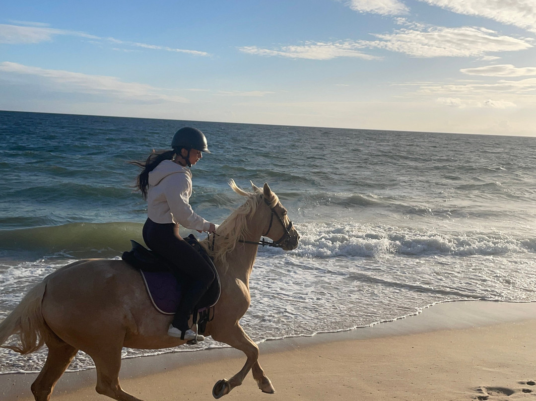Clube Equestre A Palmeirinha景点图片