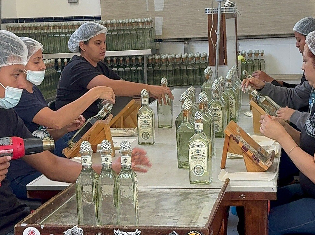 Forteleza-特基拉必去景点