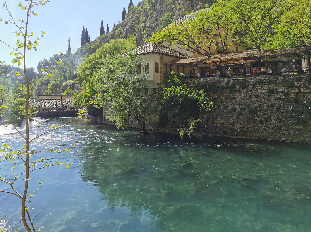 River Buna Spring景点图片