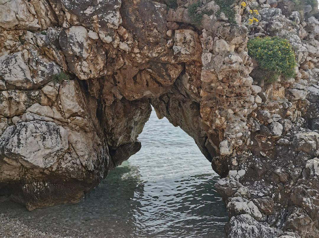 Beach Orphee景点图片