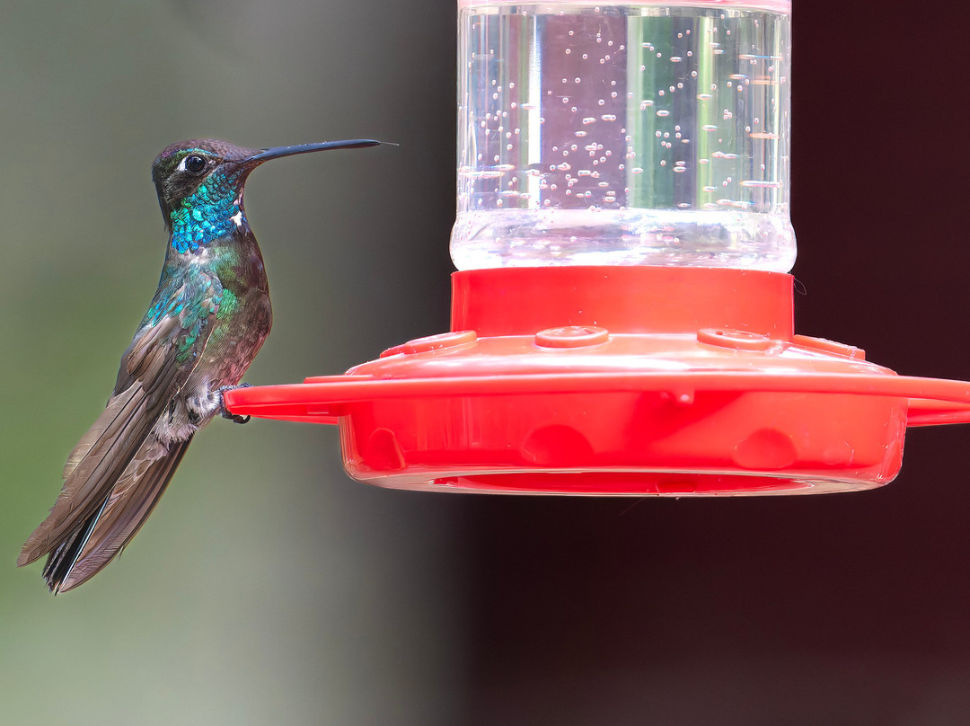 The George Walker House主图