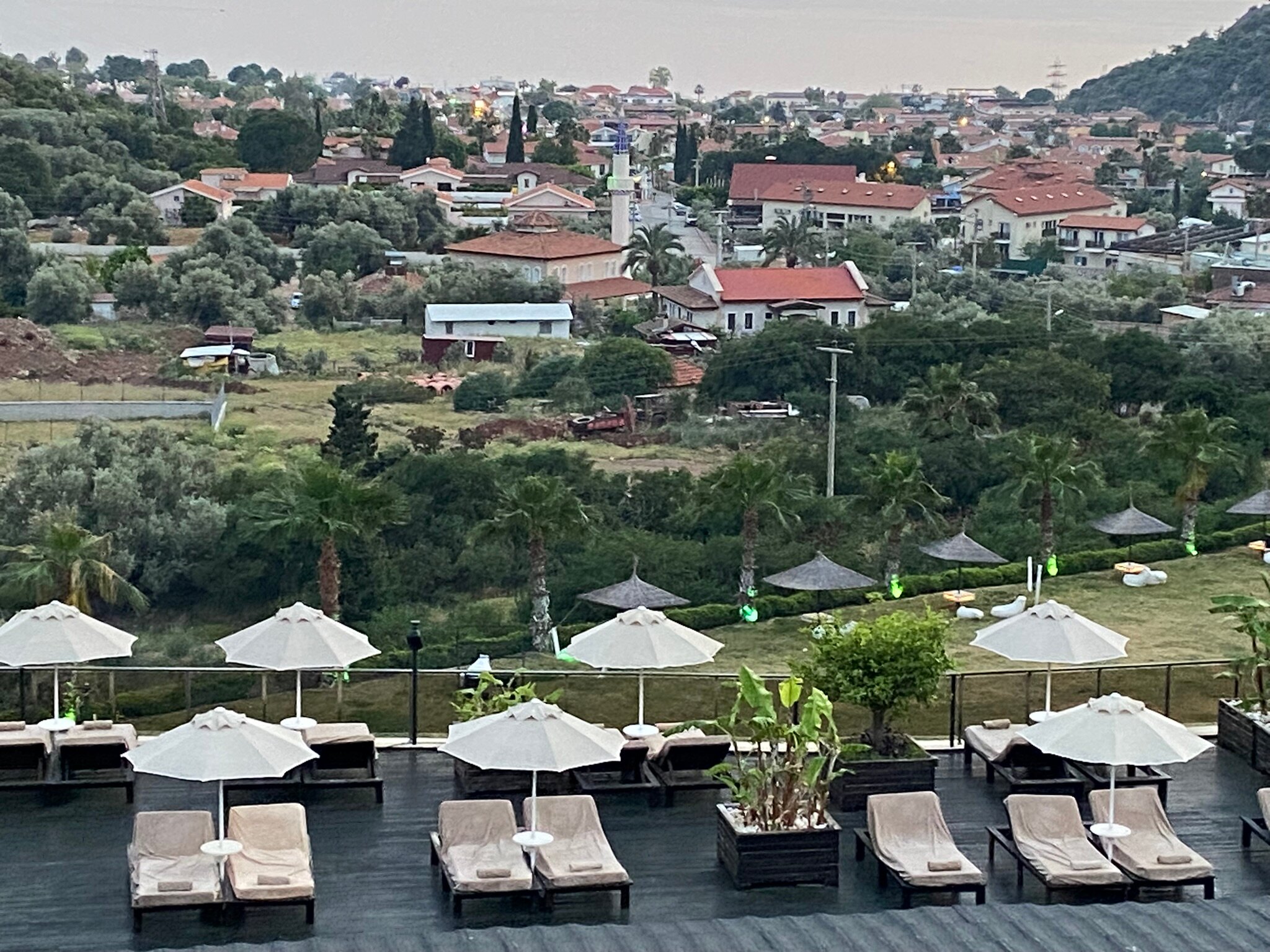 Manaspark Deluxe Hotel-泳池