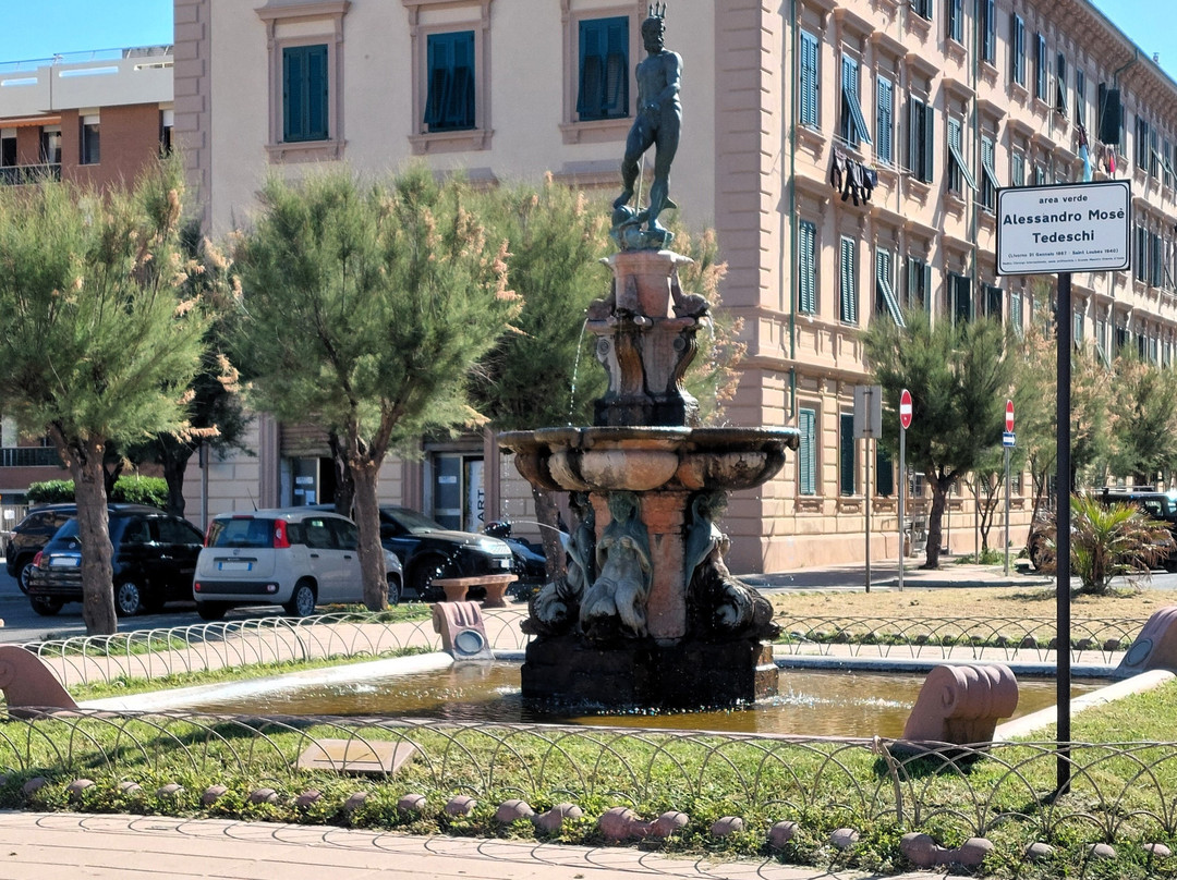 Fontana del Nettuno景点图片