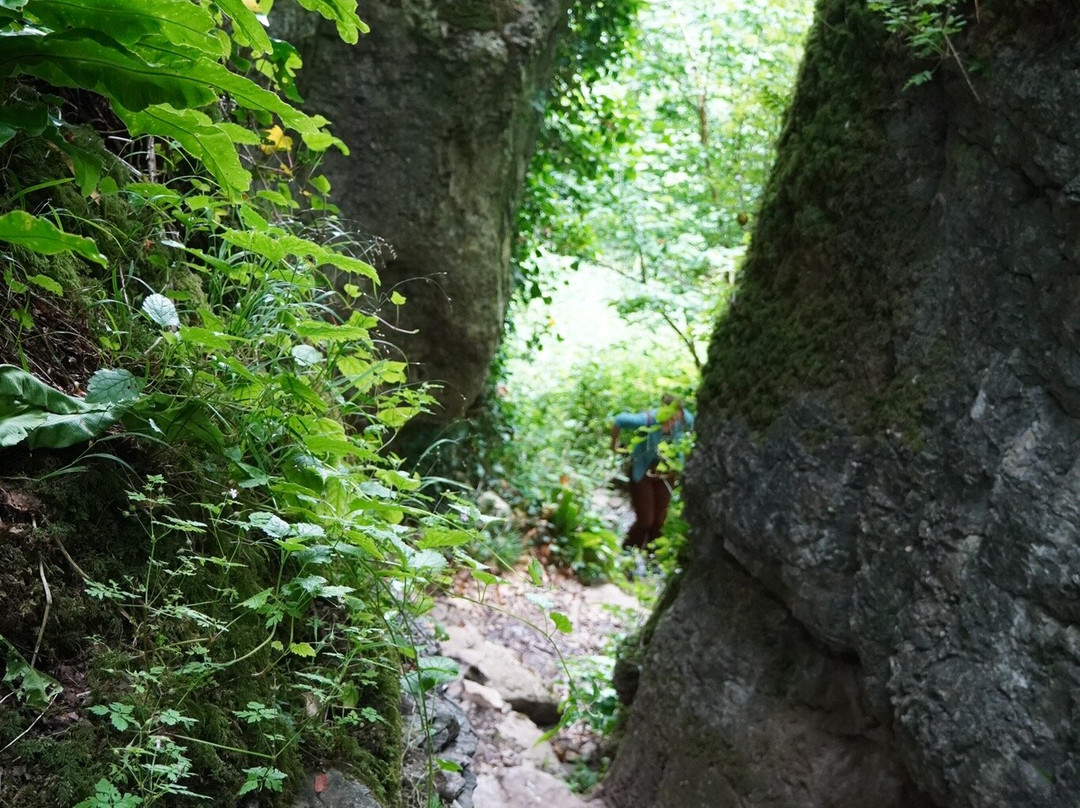 Ebbor Gorge-韦尔斯必去景点
