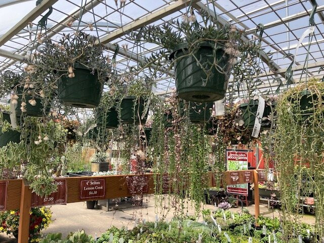 Bauman's Farm and Garden-Gervais必去景点