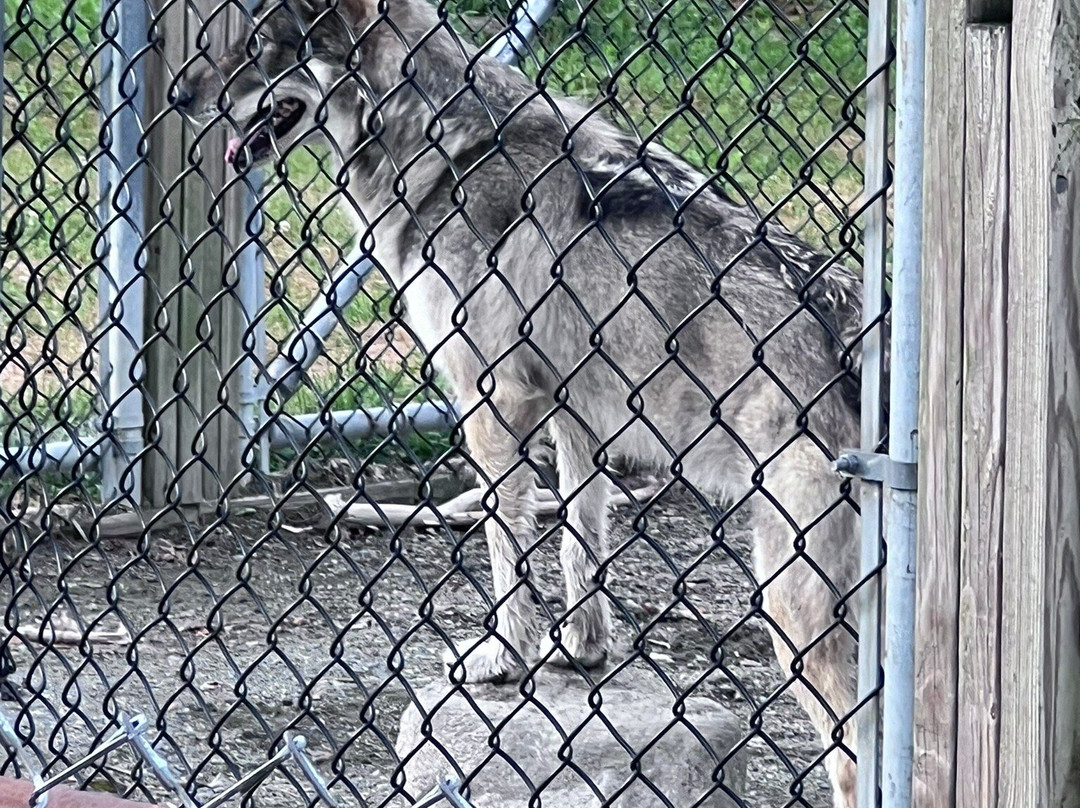 Kisma Preserve-Trenton必去景点