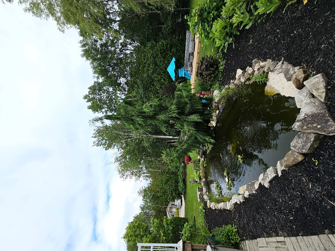 Adventure the Bruce Inn主图