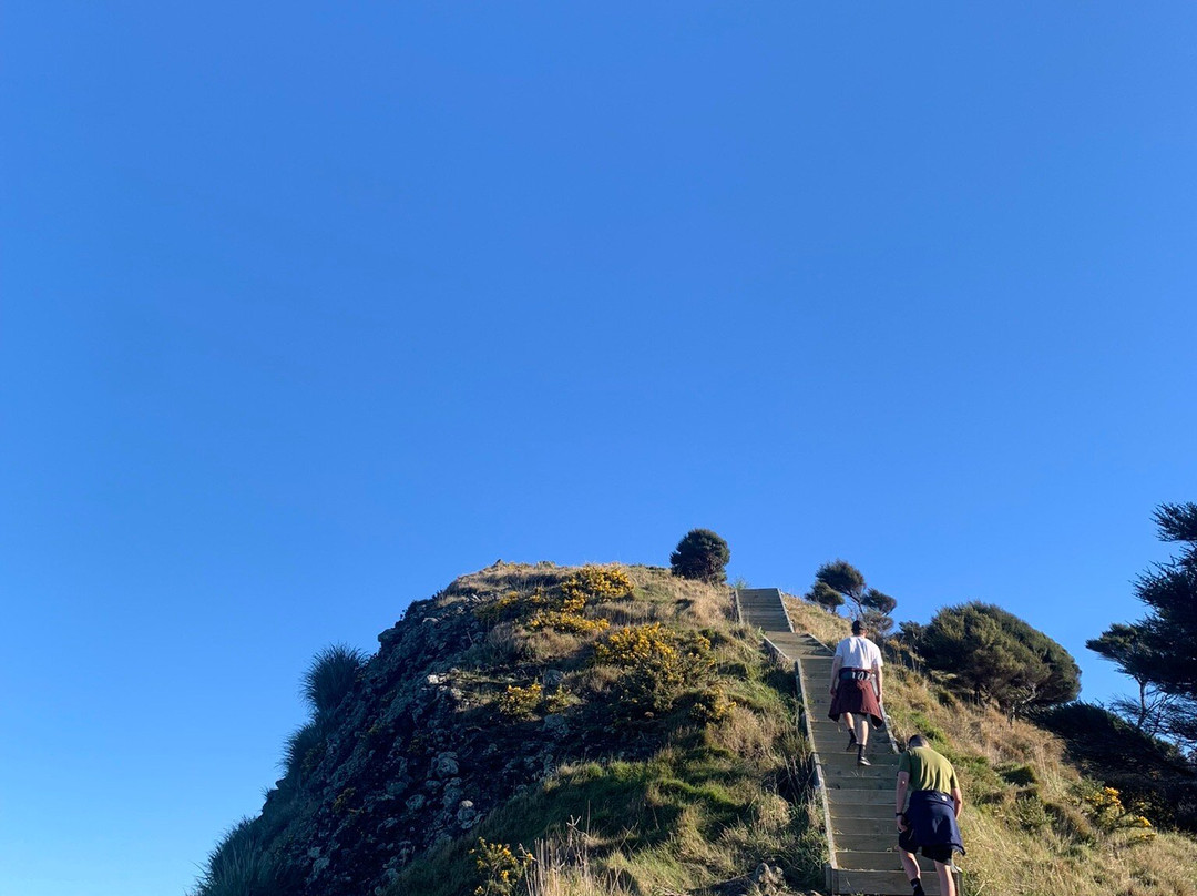 Omanawanui Track景点图片