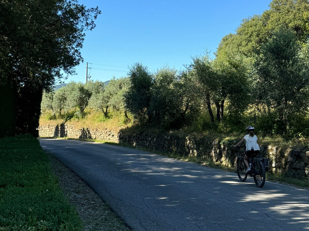 Discovery Chianti-格雷韦伊恩基亚恩蒂必去景点