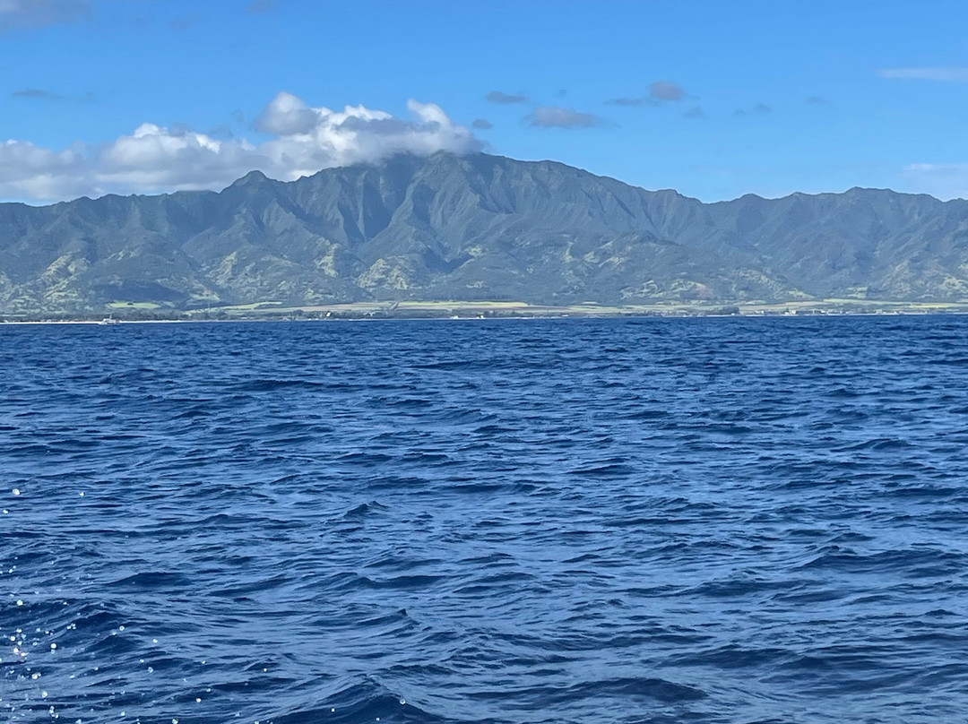 Ocean Outfitters Hawaii-哈雷瓦必去景点