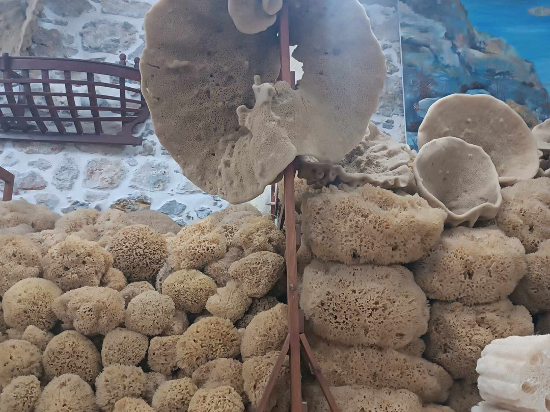 N S Papachatzis Sponge Factory景点图片