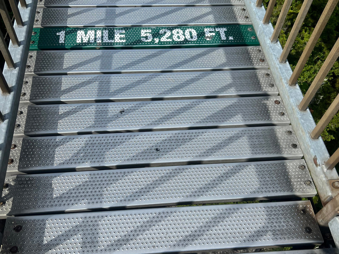 Mile High Swinging Bridge景点图片