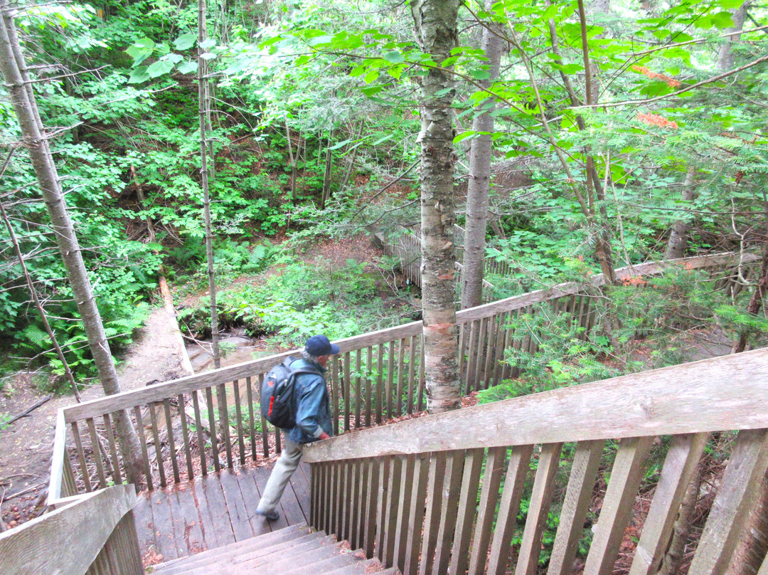 Sentier Du Parc De Nos Ancêtres景点图片