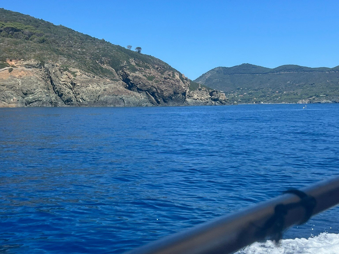 Baiarda Dive Boat Excursions景点图片