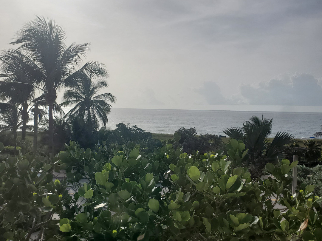 德尔雷海滩万豪酒店主图