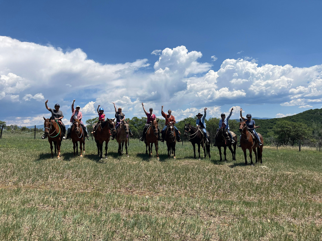 Saddleback Ranch-斯廷博特斯普林斯必去景点