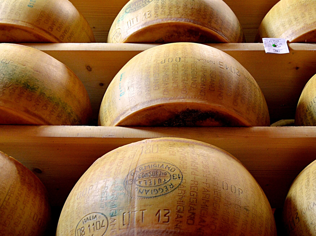 Antica Fattoria Caseificio Scalabrini景点图片