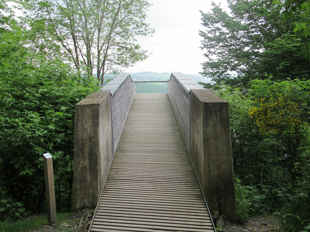 Panorama Platform Belvedere Burfelt-Esch-sur-Sure必去景点