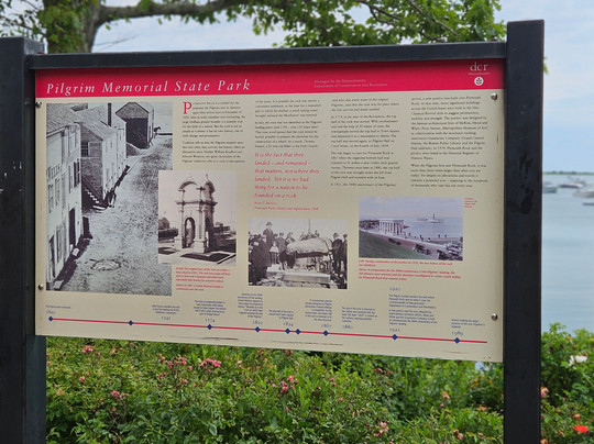 Ms. Vicky's Plymouth Tours