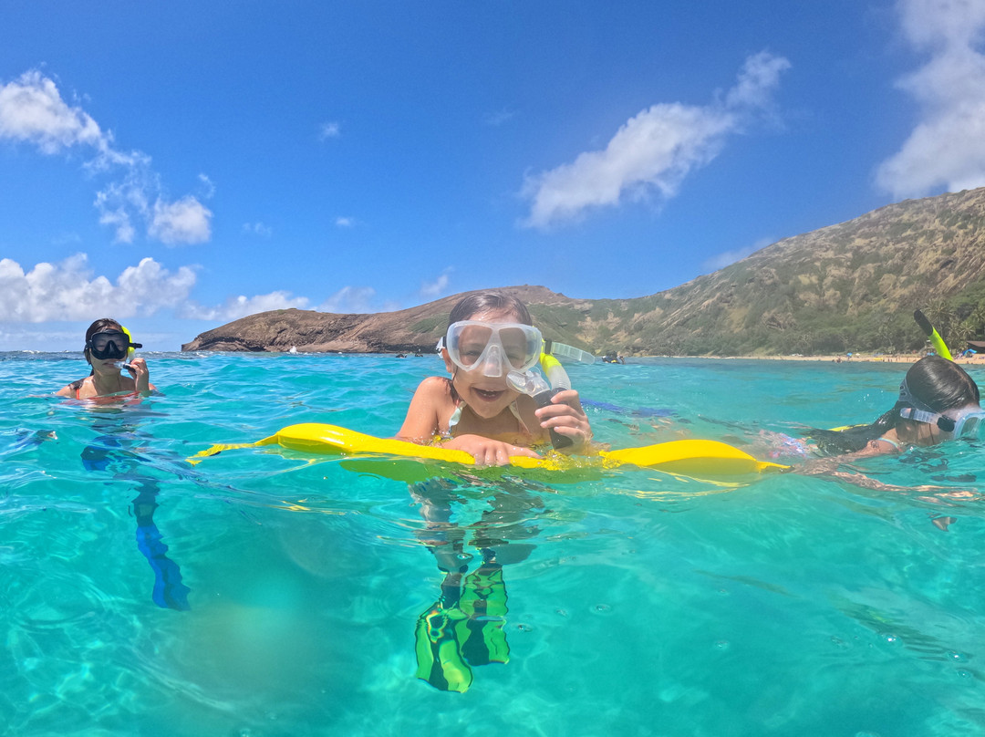 Pure Aloha Adventures-火奴鲁鲁必去景点