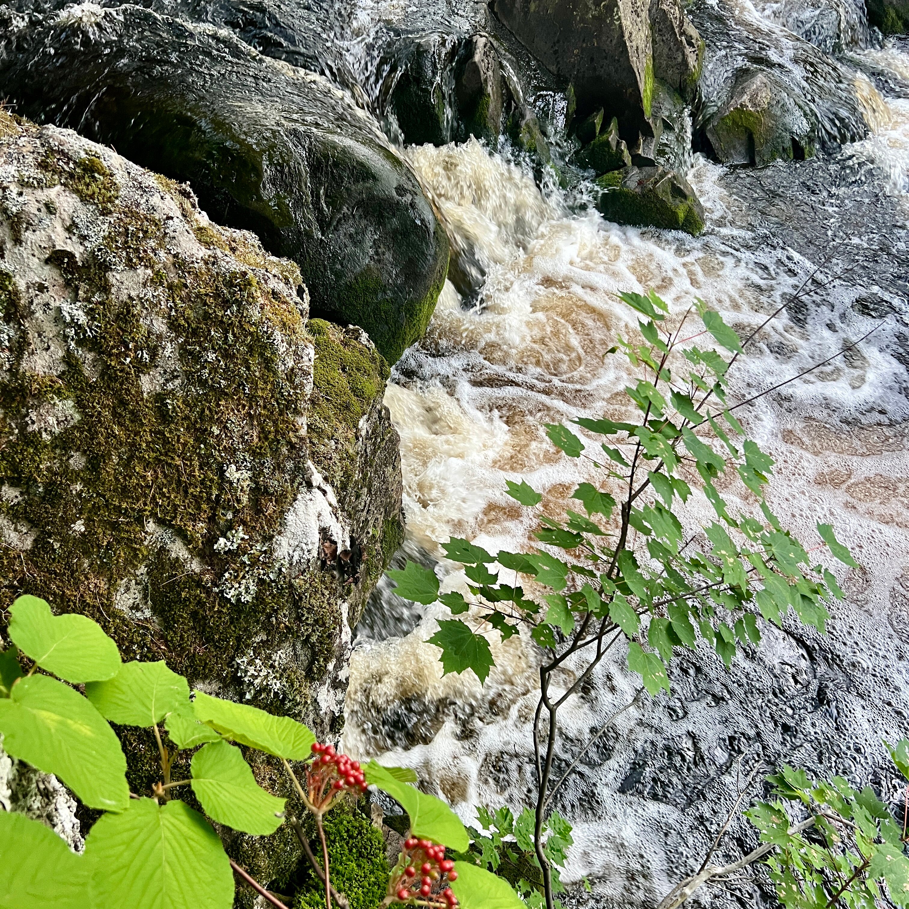 Mersey River Chalets and Nature Retreat-官方