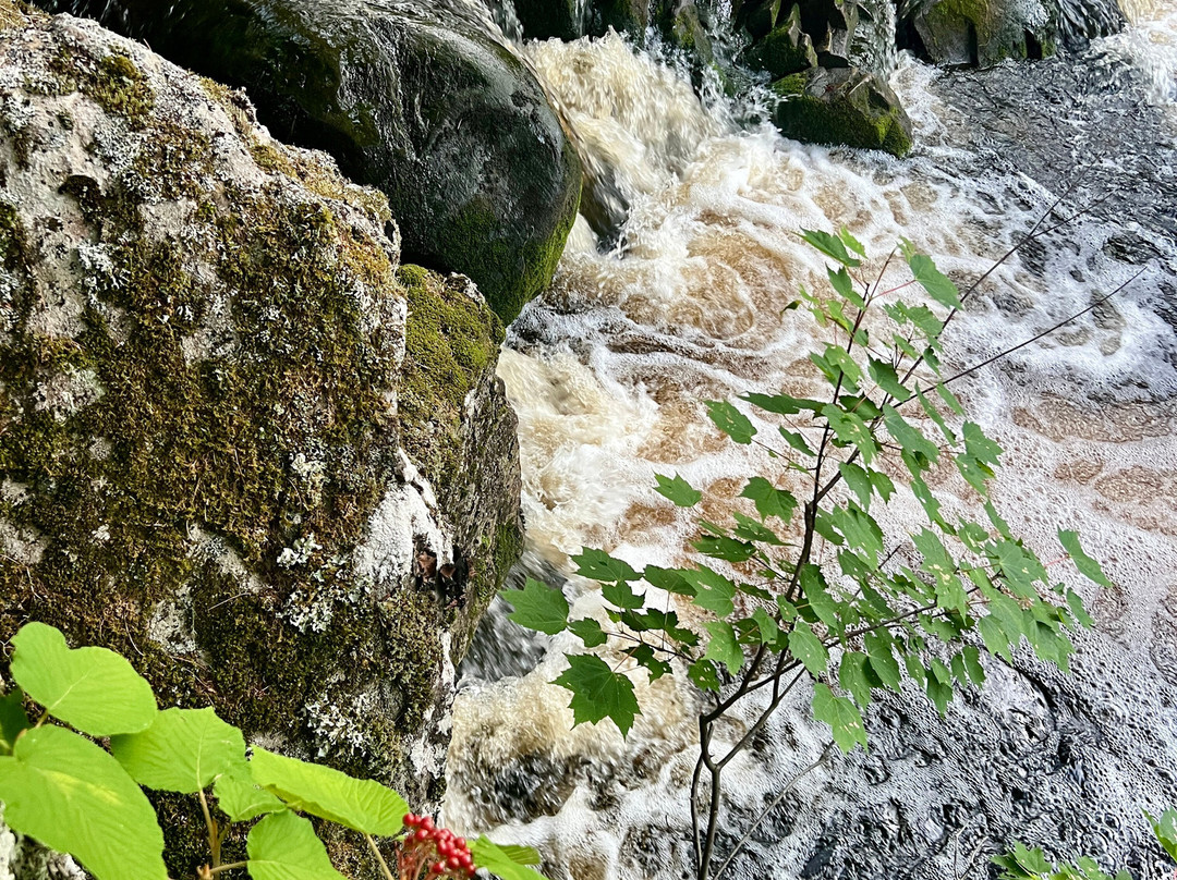 Mersey River Chalets and Nature Retreat主图