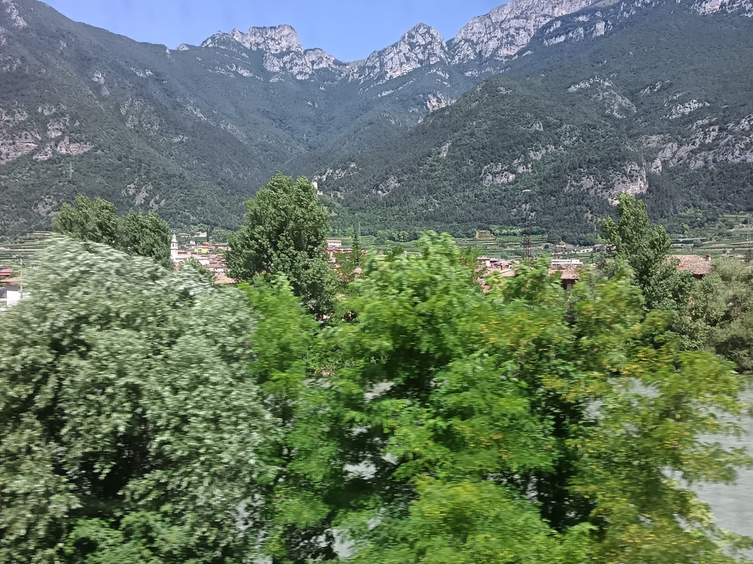 B&B Agritur al Vigneto主图