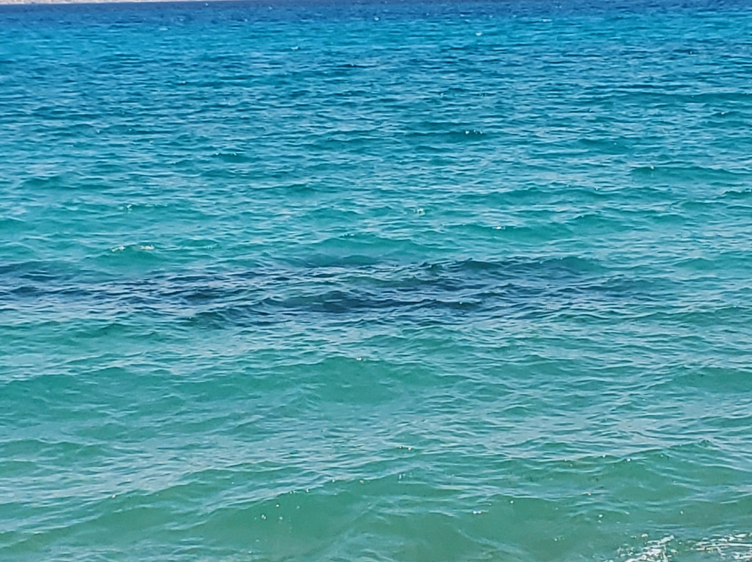 Vlychada Beach-Richea必去景点